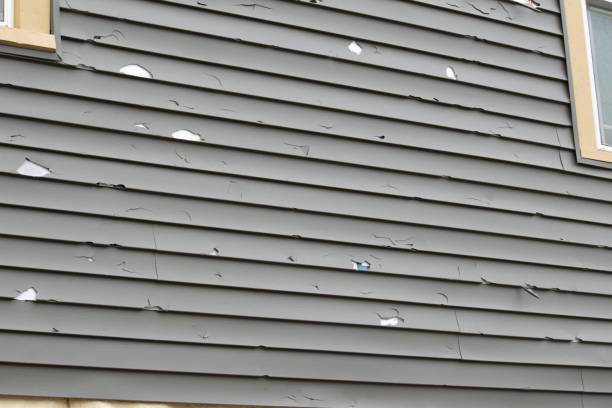 Best Stucco Siding  in Westport, WA