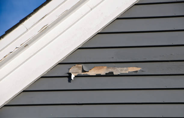 Best Siding Painting and Refinishing  in Westport, WA